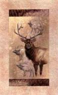 Majestic Elk