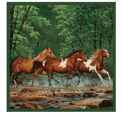 Horse Theme Shower Curtain