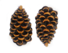 Pair of Pinecone Drawer Pulls